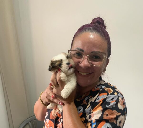 Veterinária em Domicílio - VIVER PET - Taboão da Serra