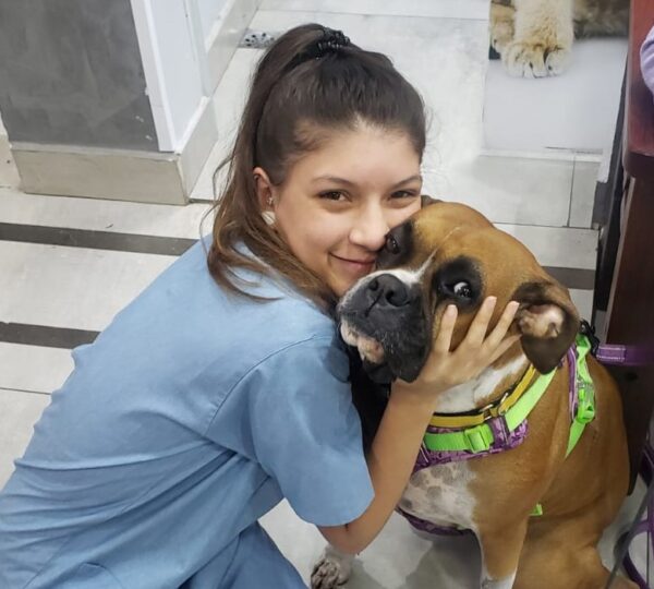 Veterinária em Domicílio - VIVER PET - Taboão da Serra