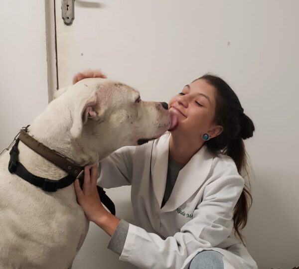 Veterinária em Domicílio - VIVER PET - Taboão da Serra