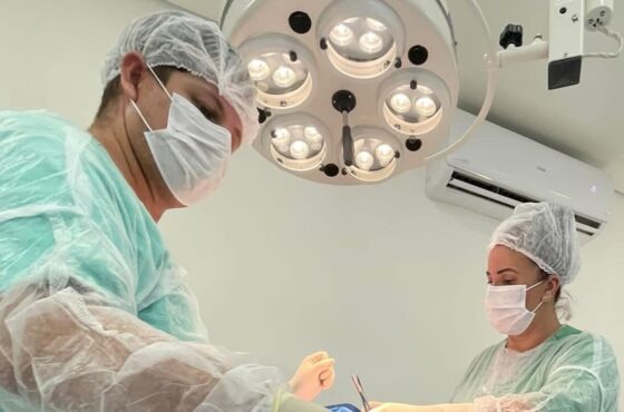 Veterinária em Domicílio – VIVER PET – Taboão da Serra